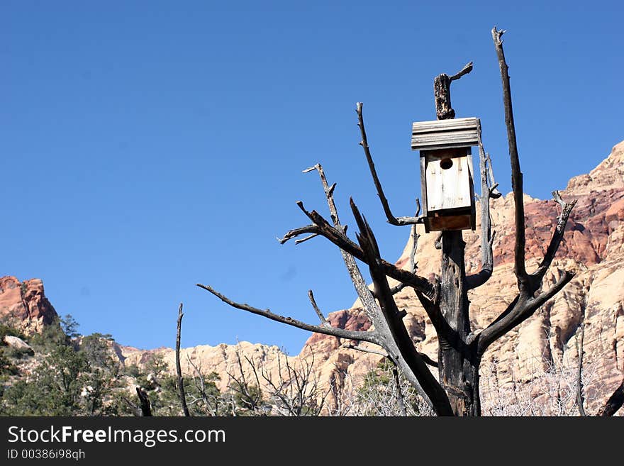 Desert Birdhouse