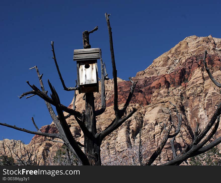 Desert Birhouse