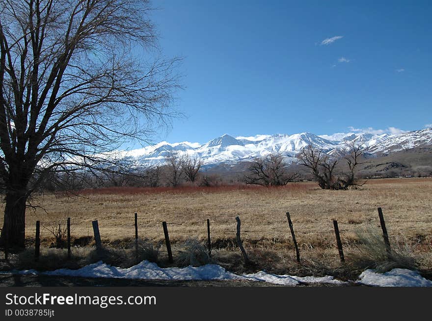 Mammoth Mountain Area, CA 4