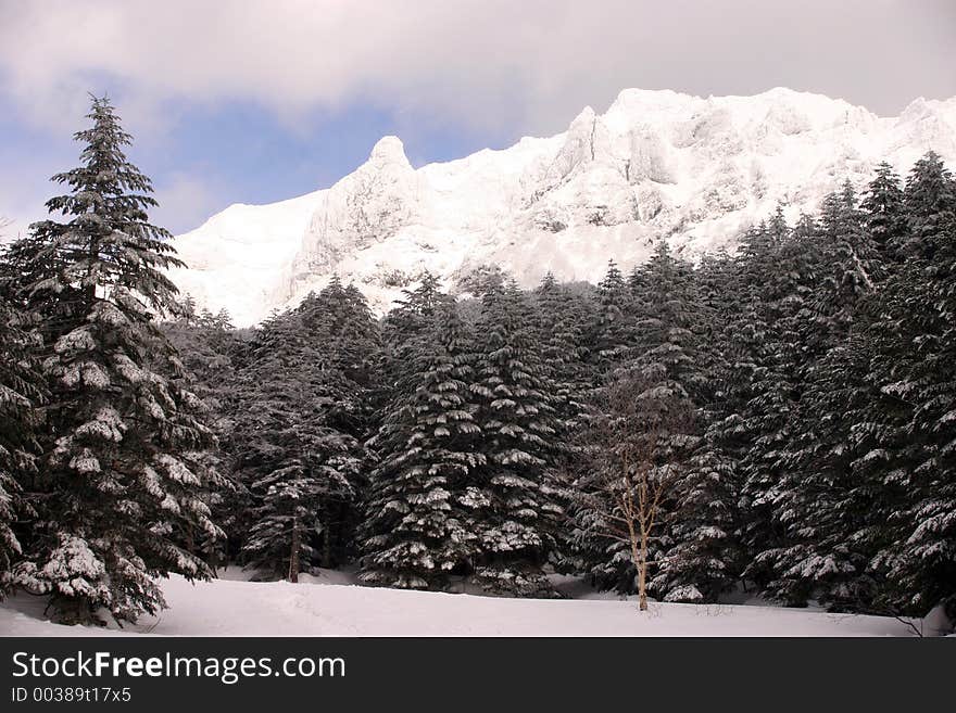 Winter view of the Japanese mountain Yatsugadake