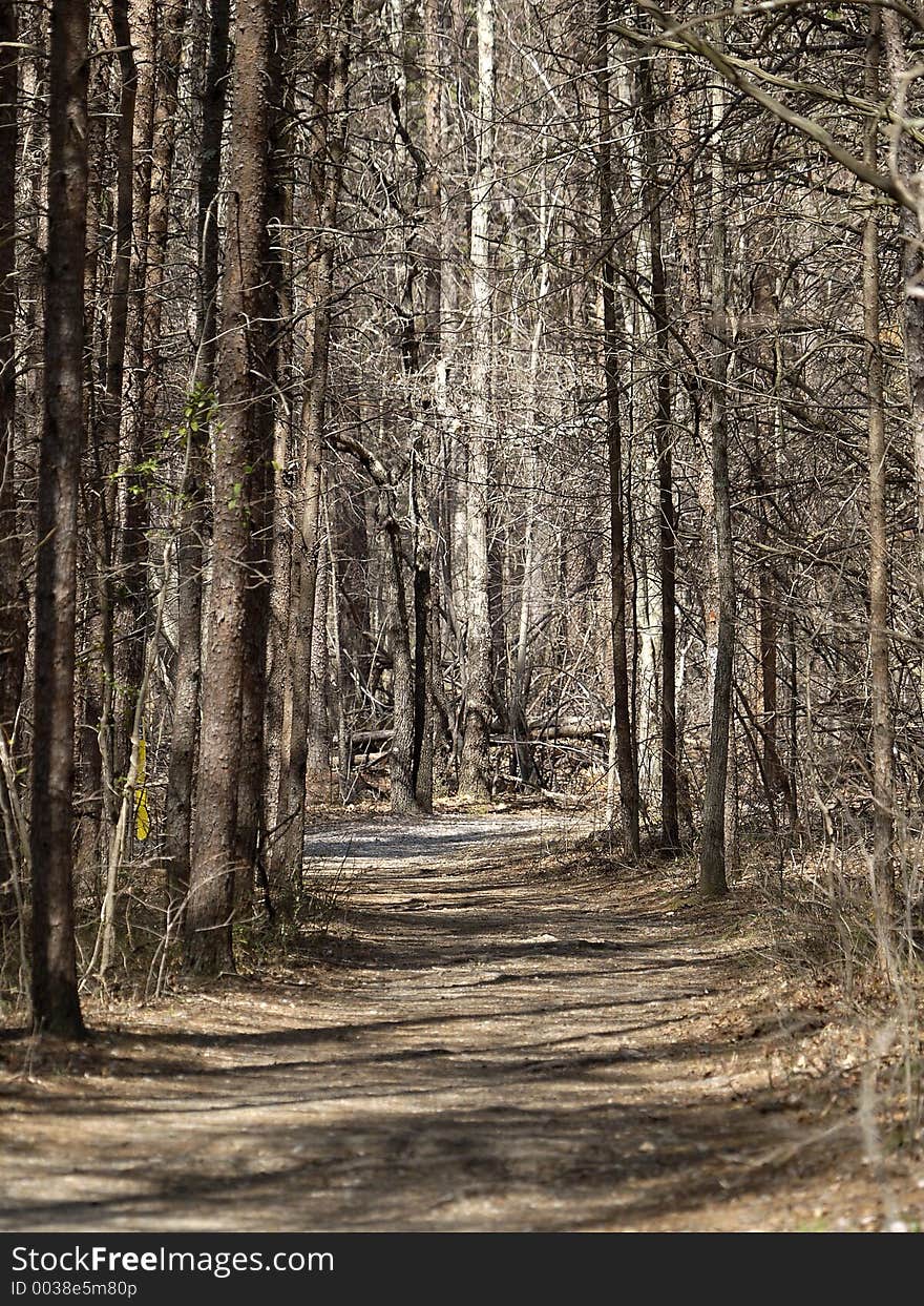 Path going up a mountain in the winter. Path going up a mountain in the winter