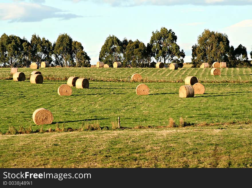 Harvest