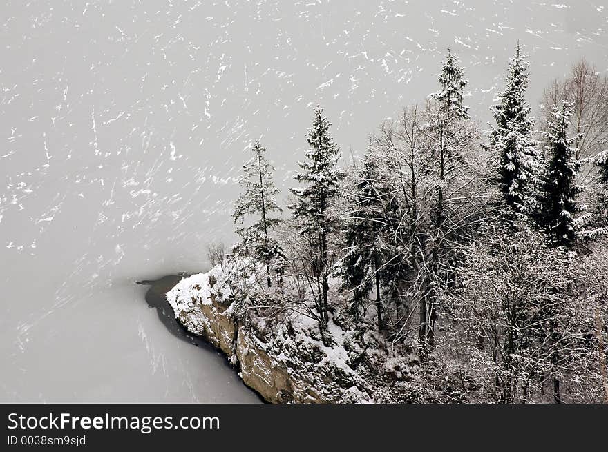 Trees over lake in winter