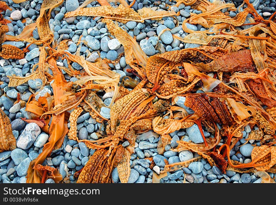 Stones And Seaweed