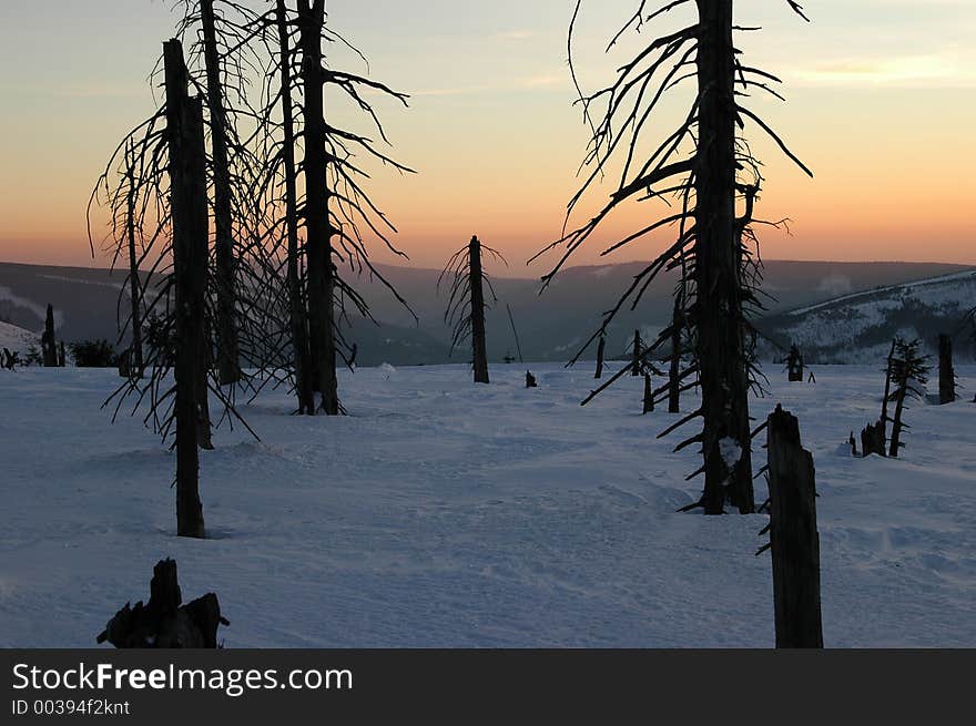 Stumps of trees against the sunset in the low mountains. Sad effects of air pollution in the past. Stumps of trees against the sunset in the low mountains. Sad effects of air pollution in the past...