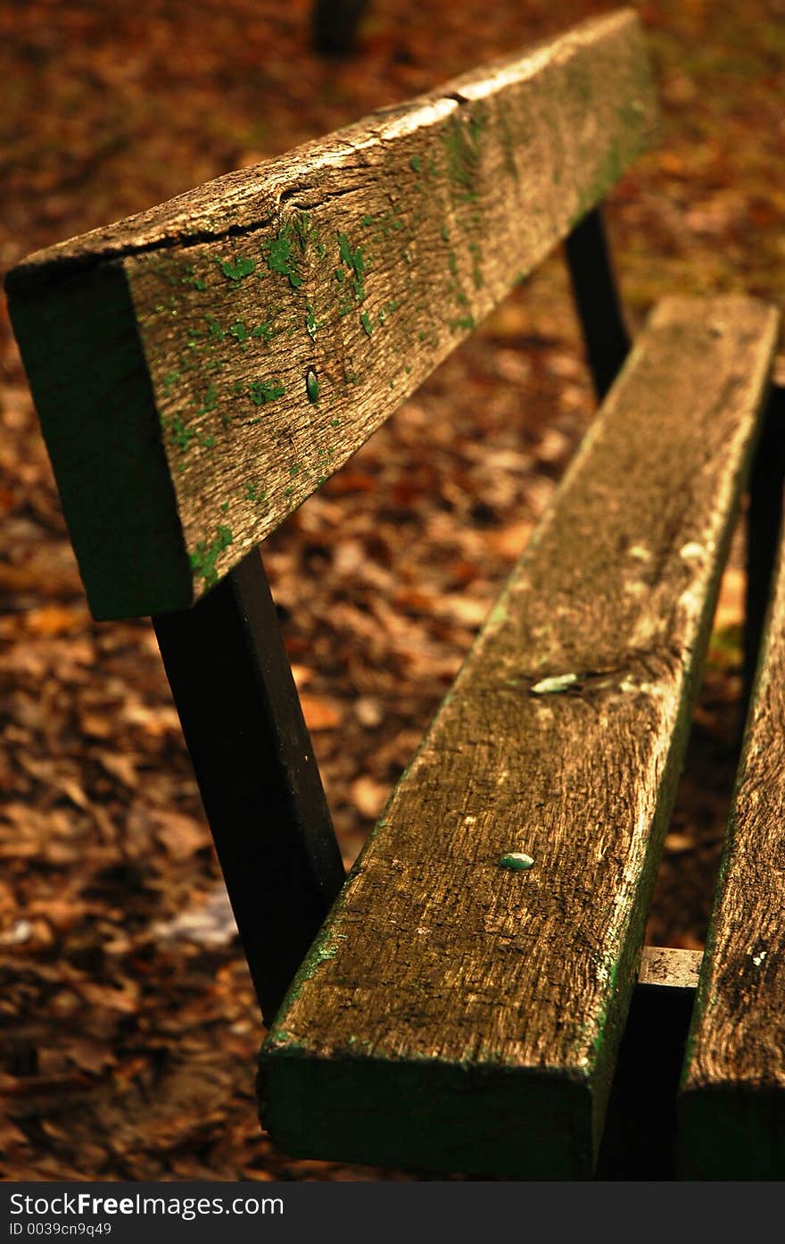 Wood Bench