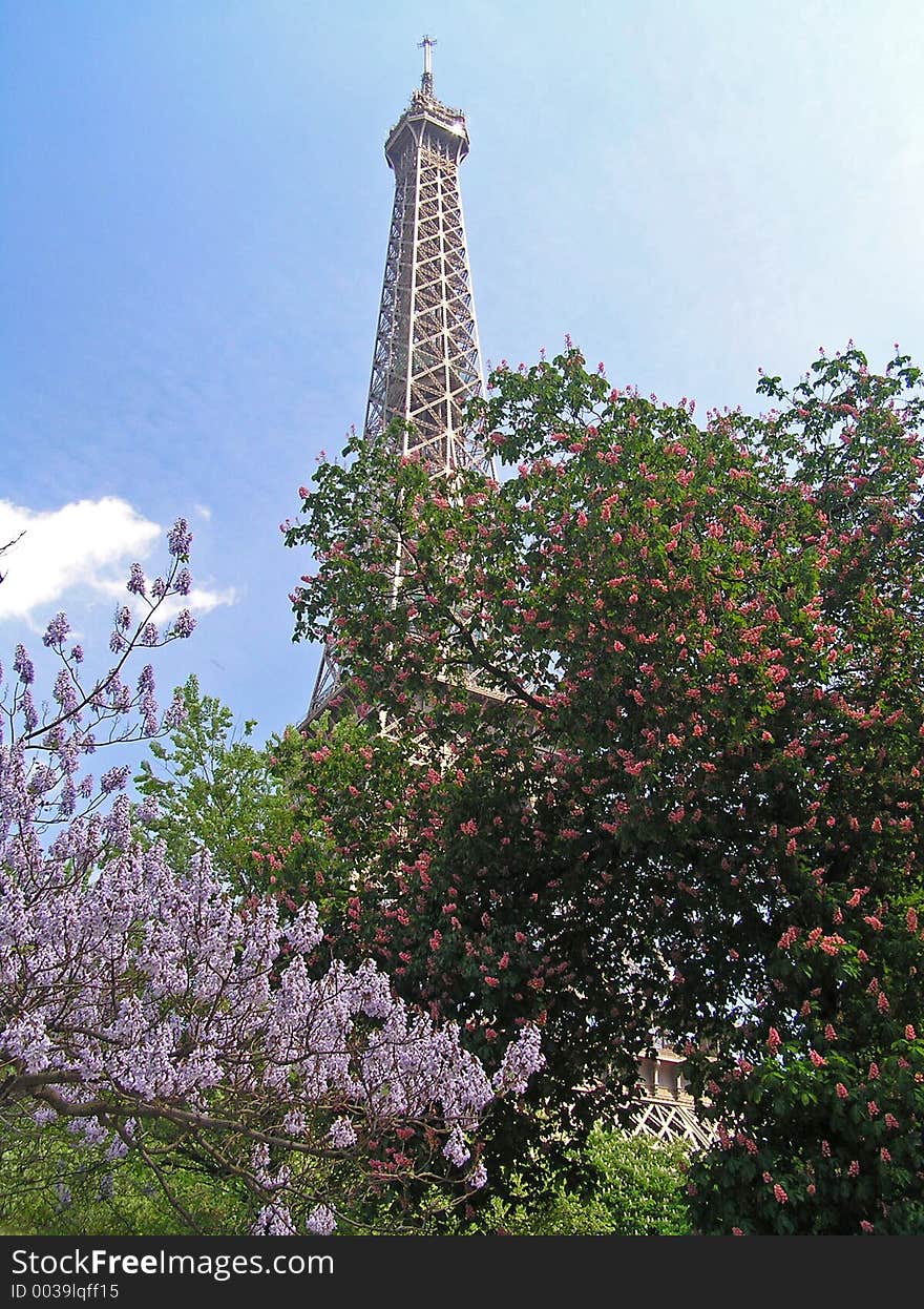 Eiffel Tour - Paris. Eiffel Tour - Paris