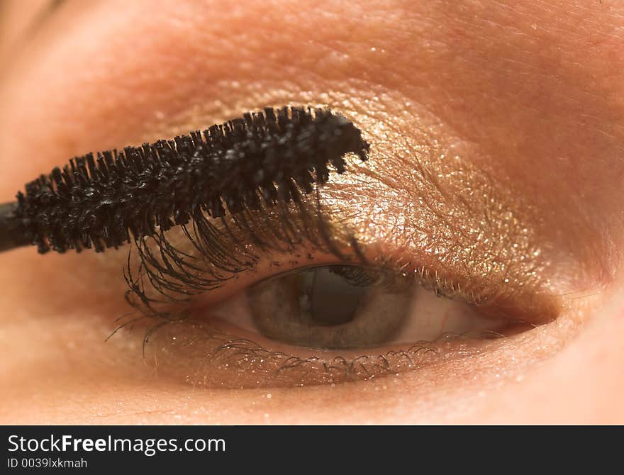 Closeup of eyehairs being brushed. Closeup of eyehairs being brushed