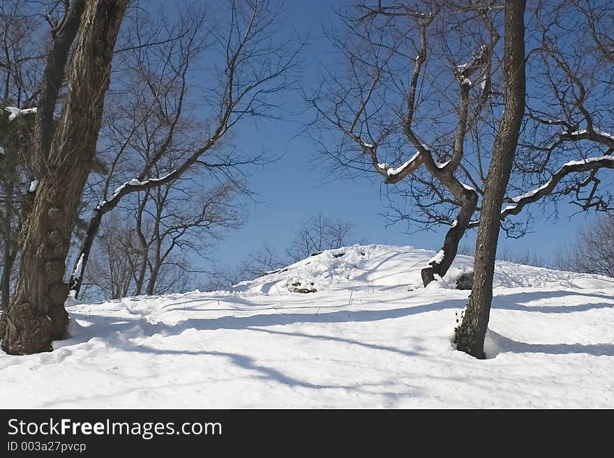 Blue sky, white snow. Blue sky, white snow