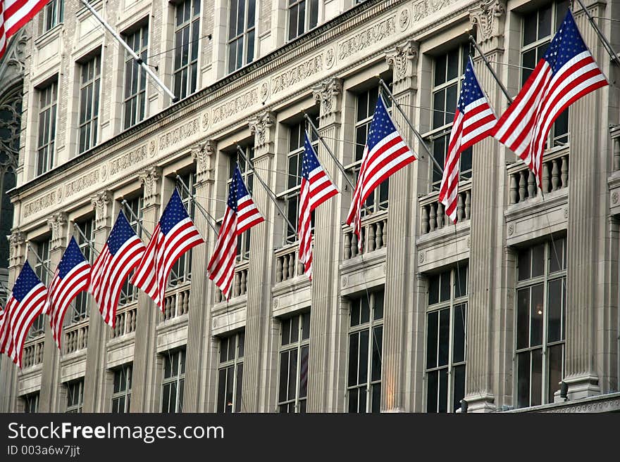 American flags standing at attention. American flags standing at attention.