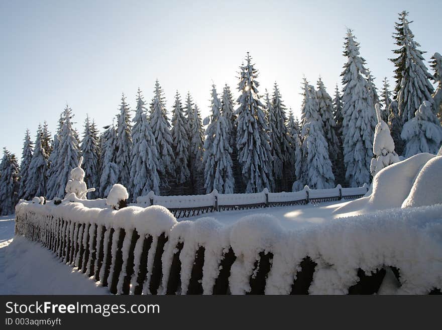 Snowcapped fence in the forest