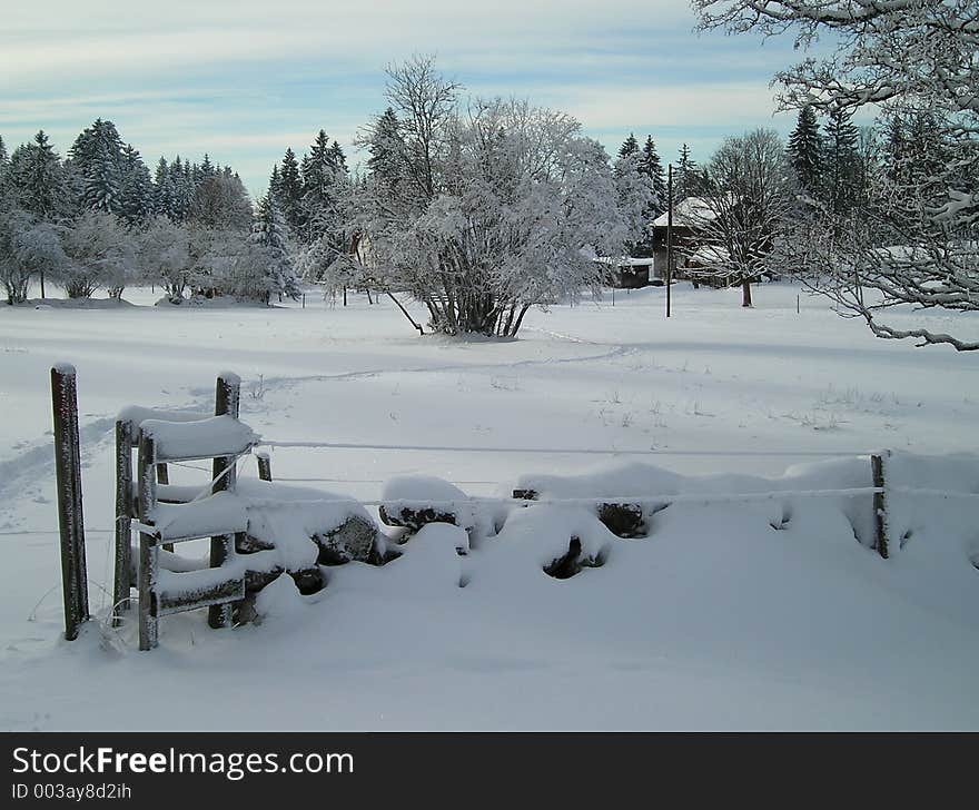 Swiss-Jura, winter