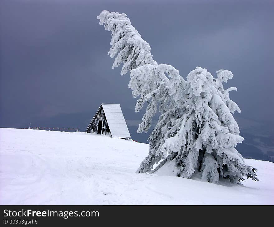 Lonely Chalet