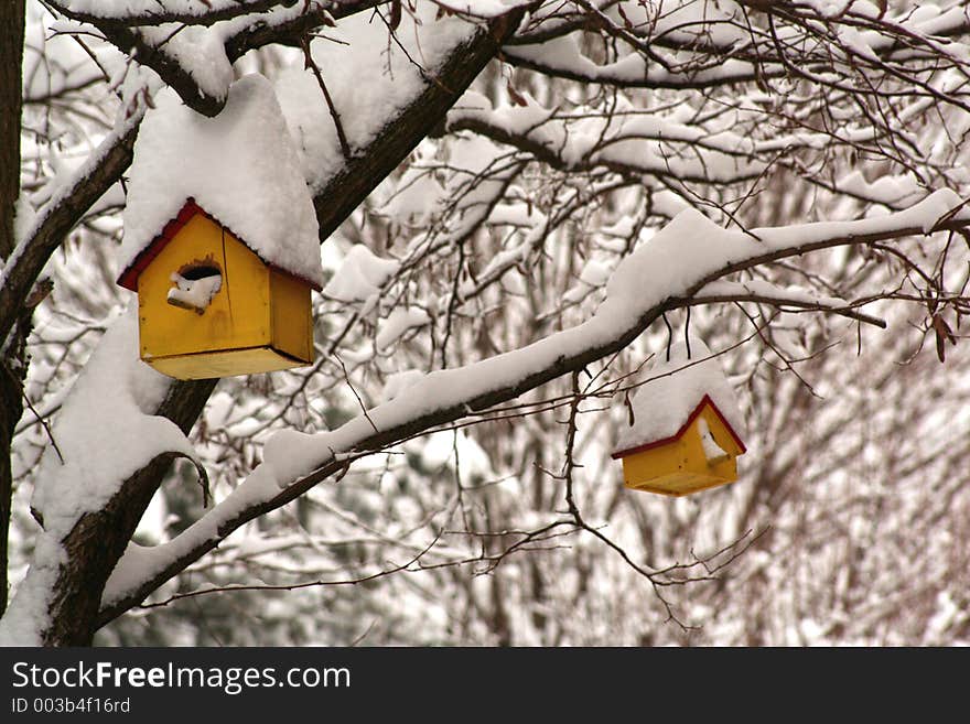 Two yellow birdhouses hanging in snow-filled trees. Two yellow birdhouses hanging in snow-filled trees.