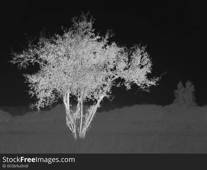 A graphic with a white tree. A graphic with a white tree