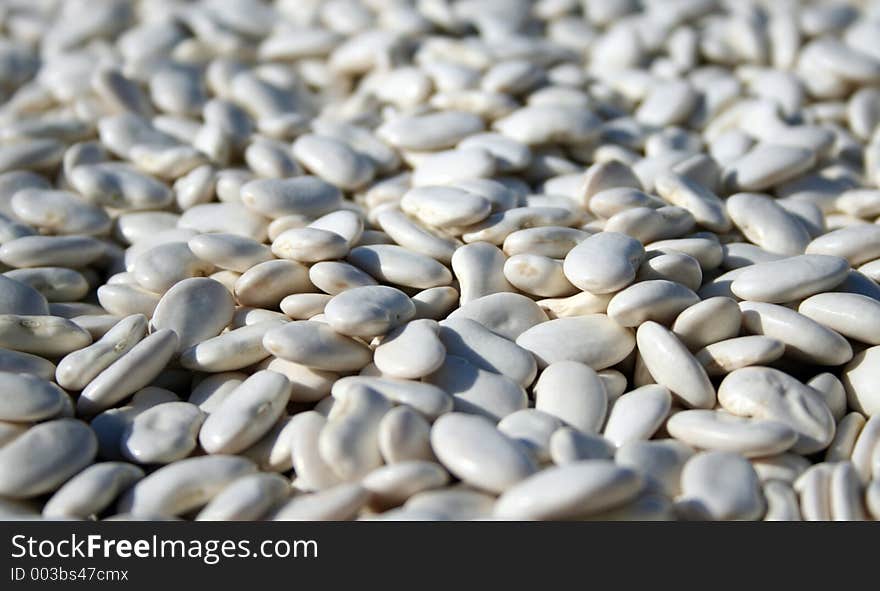 Dried Beans