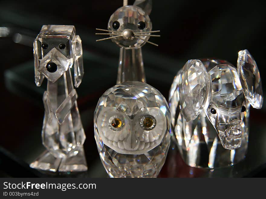 Dog , cat , elephant , bird glass