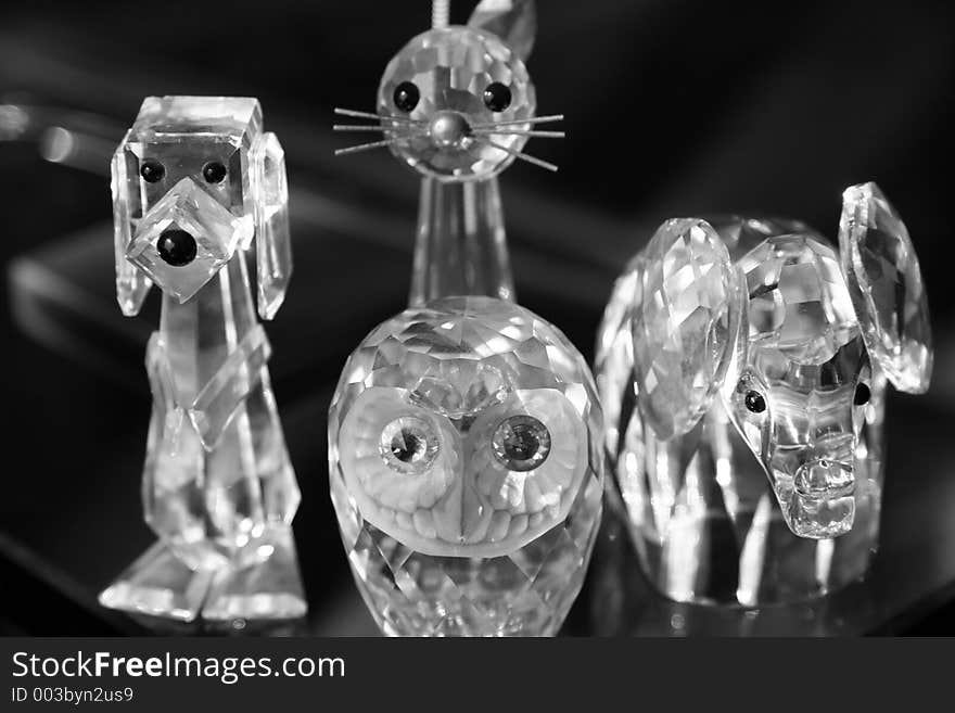 Cat , dog , elephant, bird glass