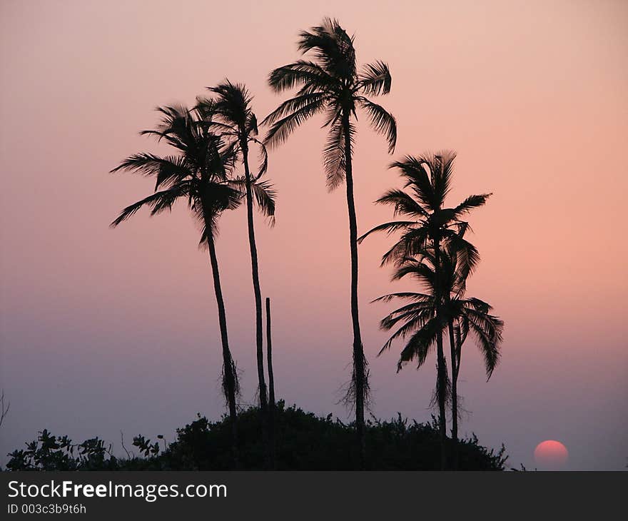 Sunset in India. Sunset in India