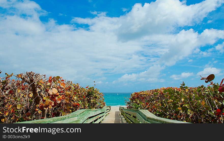 Grapeleaf Park