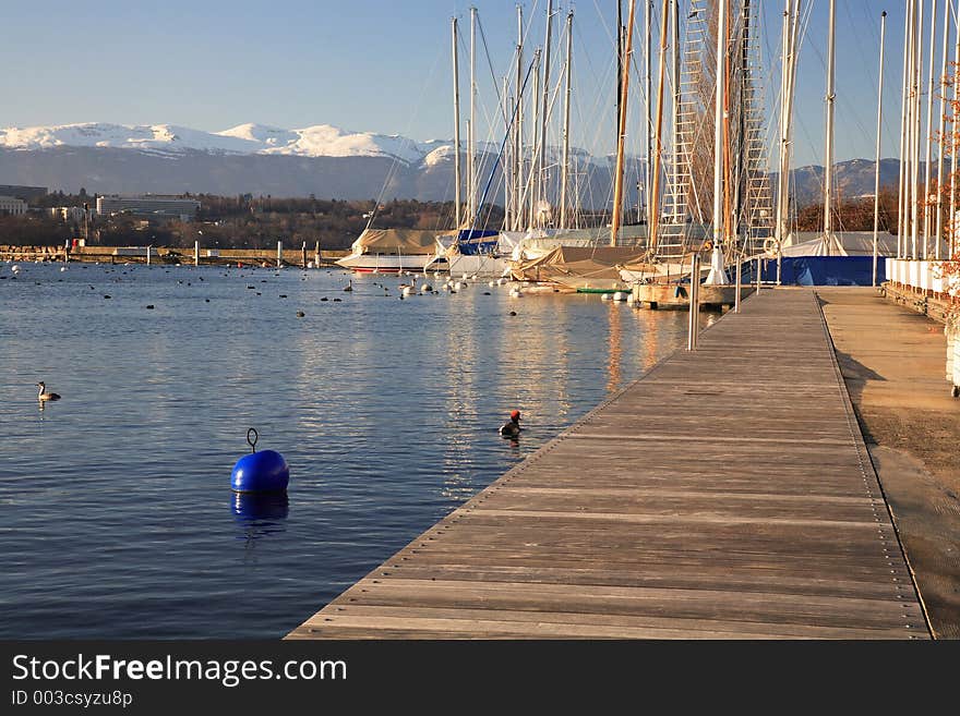 Harbour of Nautic Society on the lake in geneva. Harbour of Nautic Society on the lake in geneva