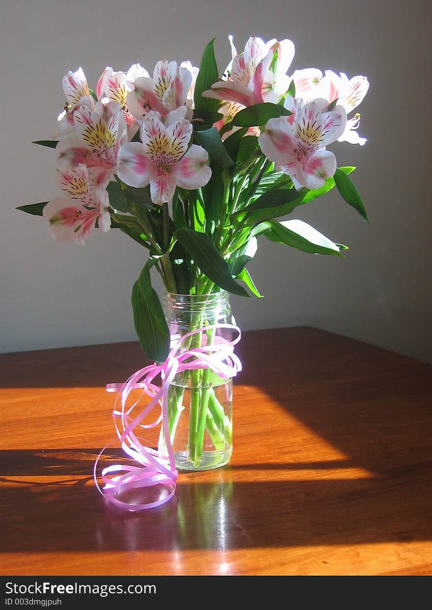 Natural window light exposed by morning sun light. Natural window light exposed by morning sun light.