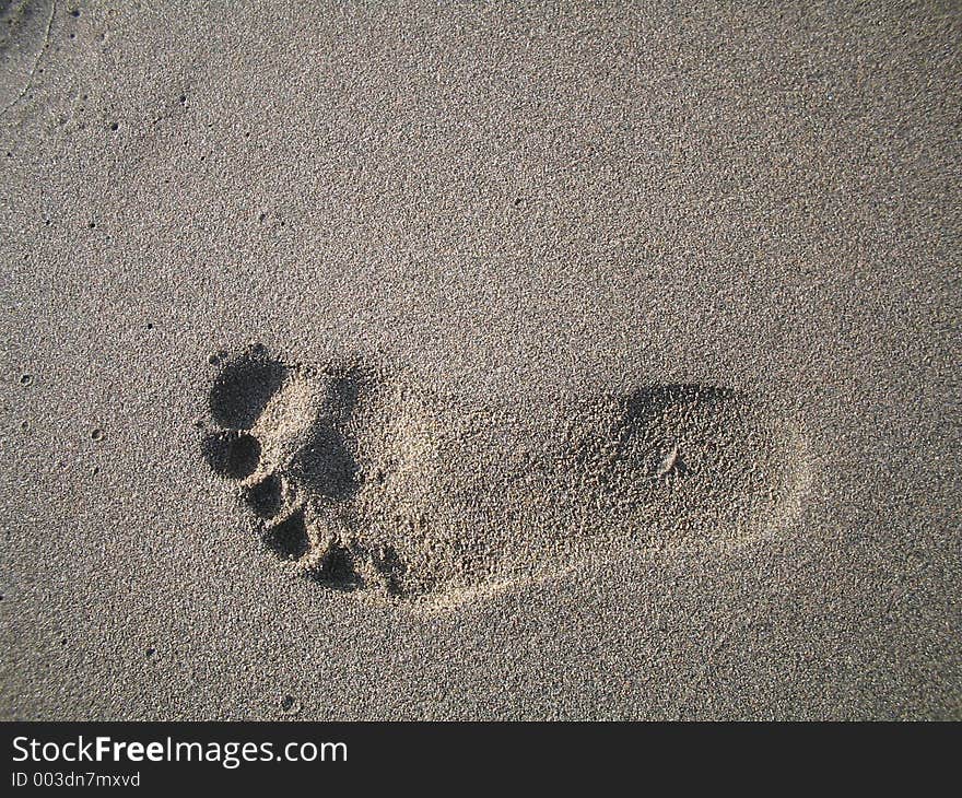 Footprint