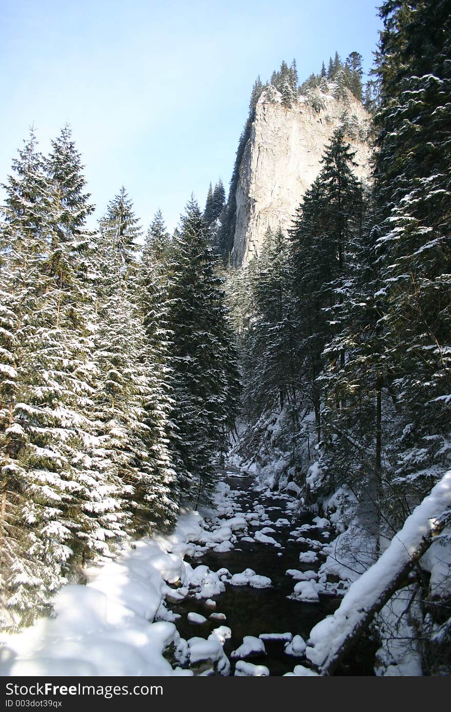 Koscieliska valley, Tatra mountain, Poland. Koscieliska valley, Tatra mountain, Poland