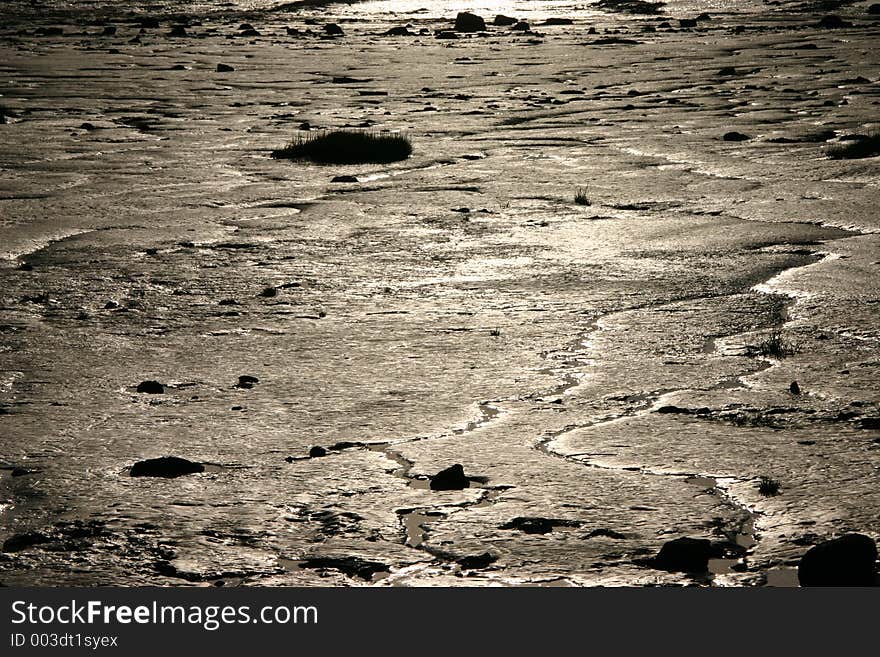 Mud on the Severn Estuary