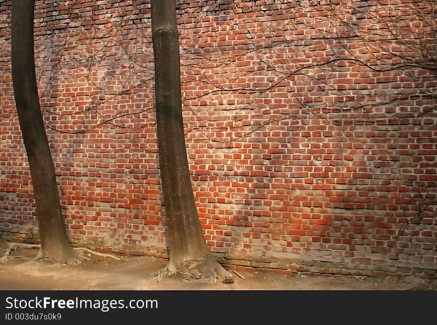 Trees against a brick wall