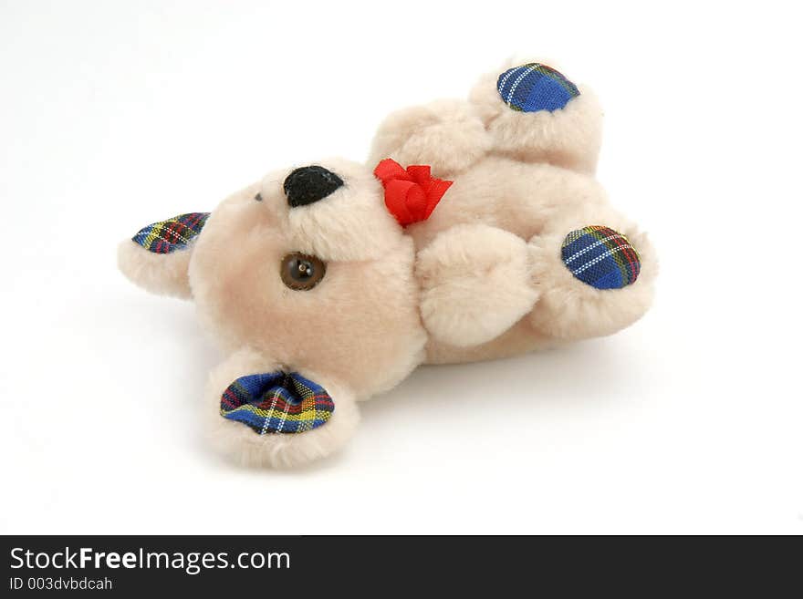 Isolated lying teddy bear