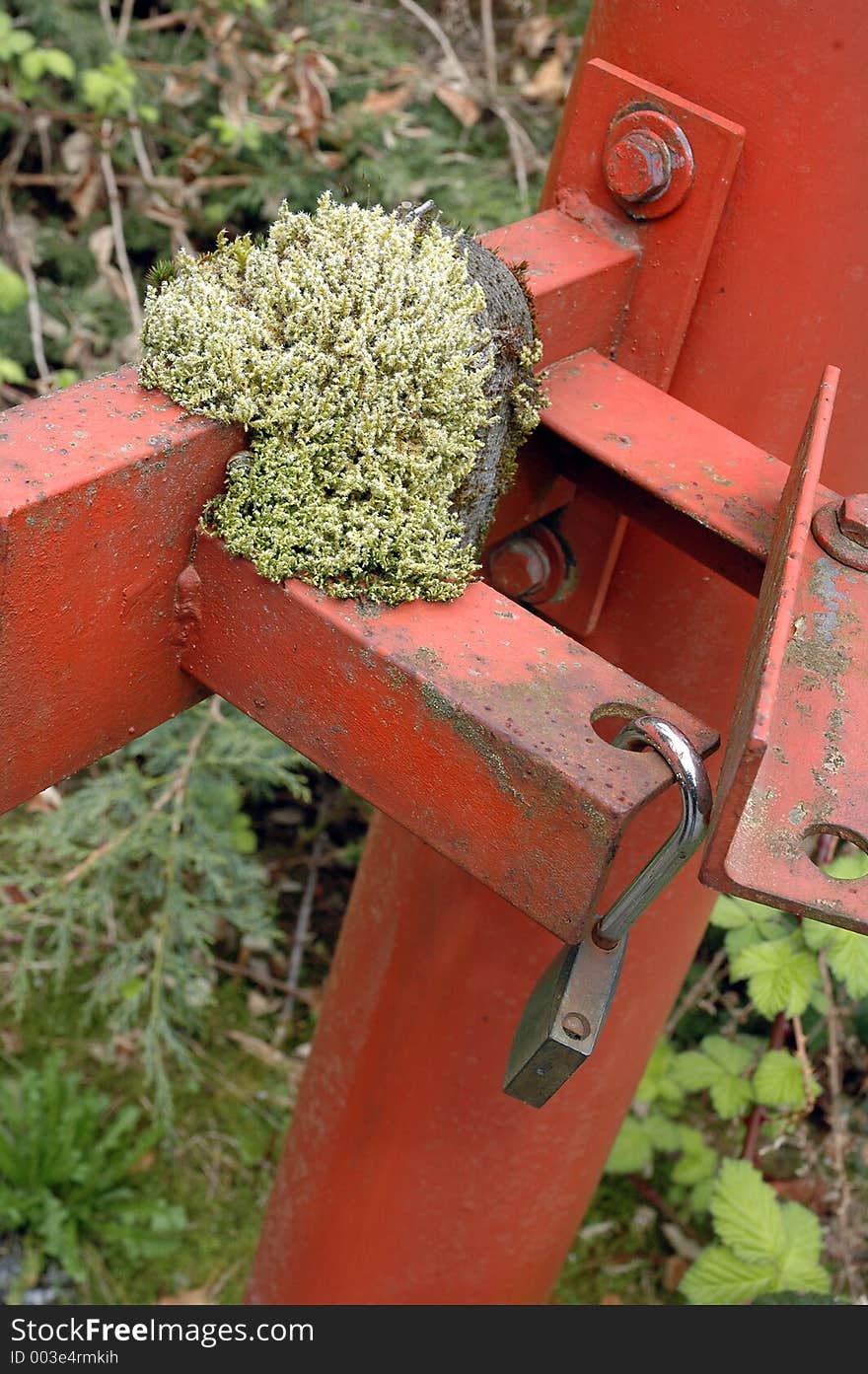 Rusty gate with lock. Rusty gate with lock