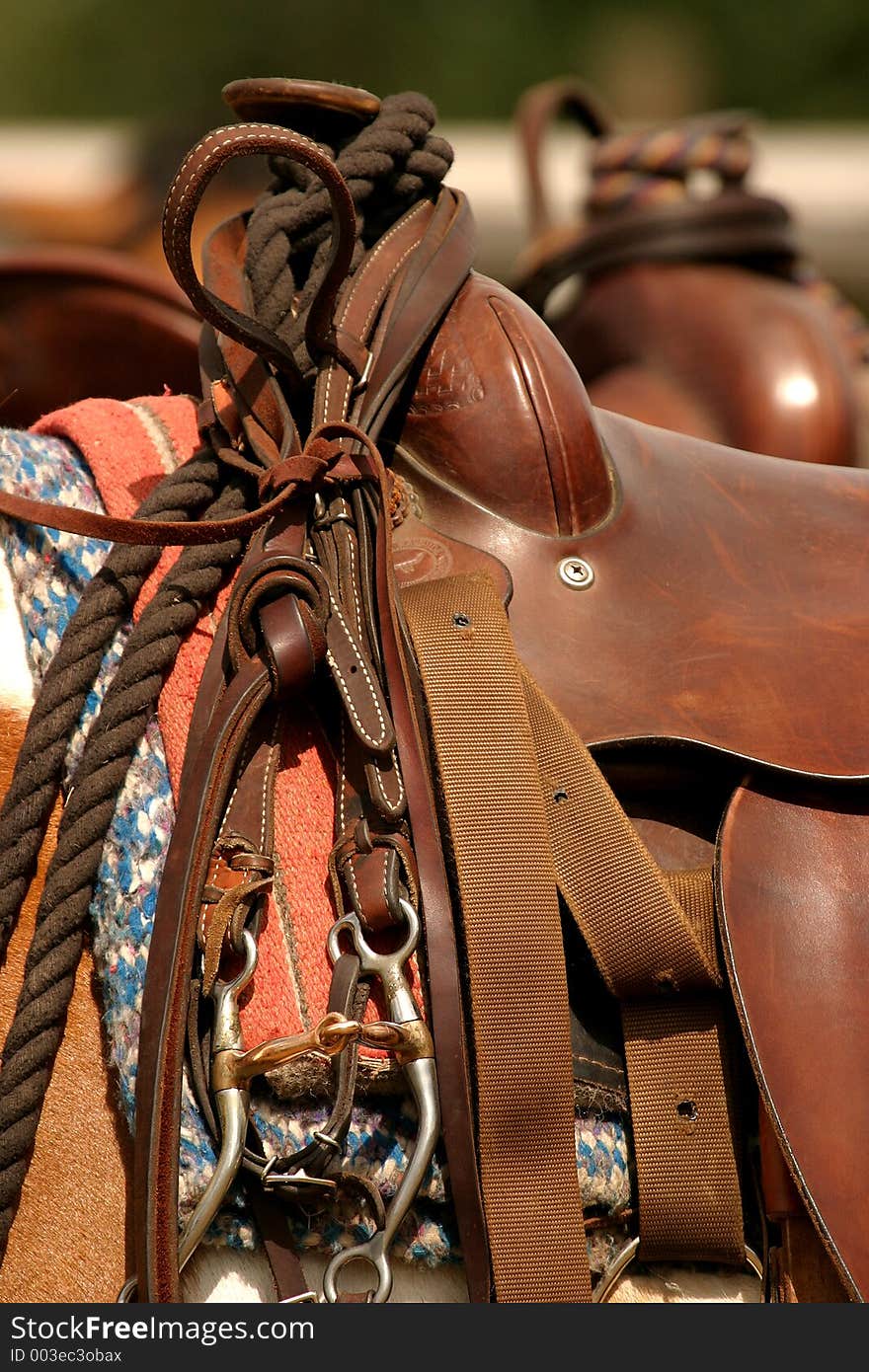 Saddle Gear