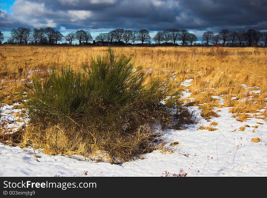 The Meadow Before The Storm