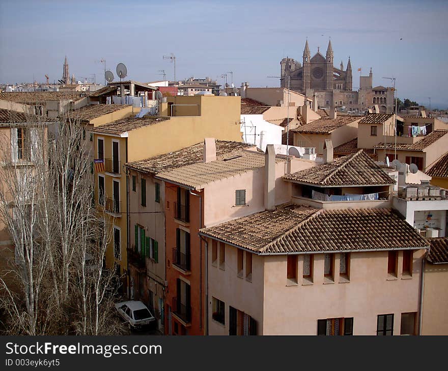 Palma Cathedral