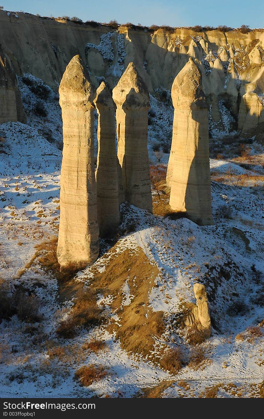 Mushroom Formations