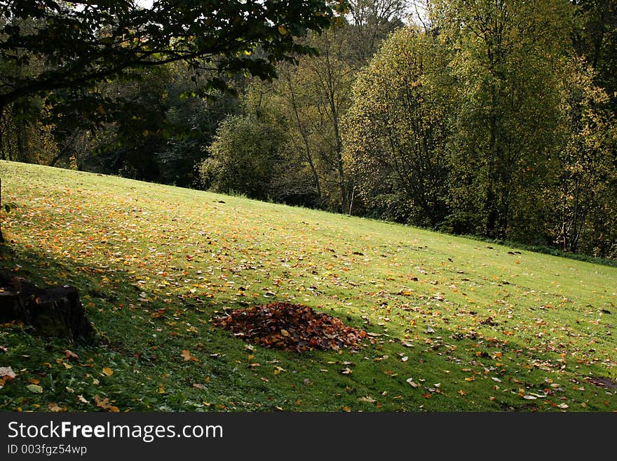 Autumn in countryside