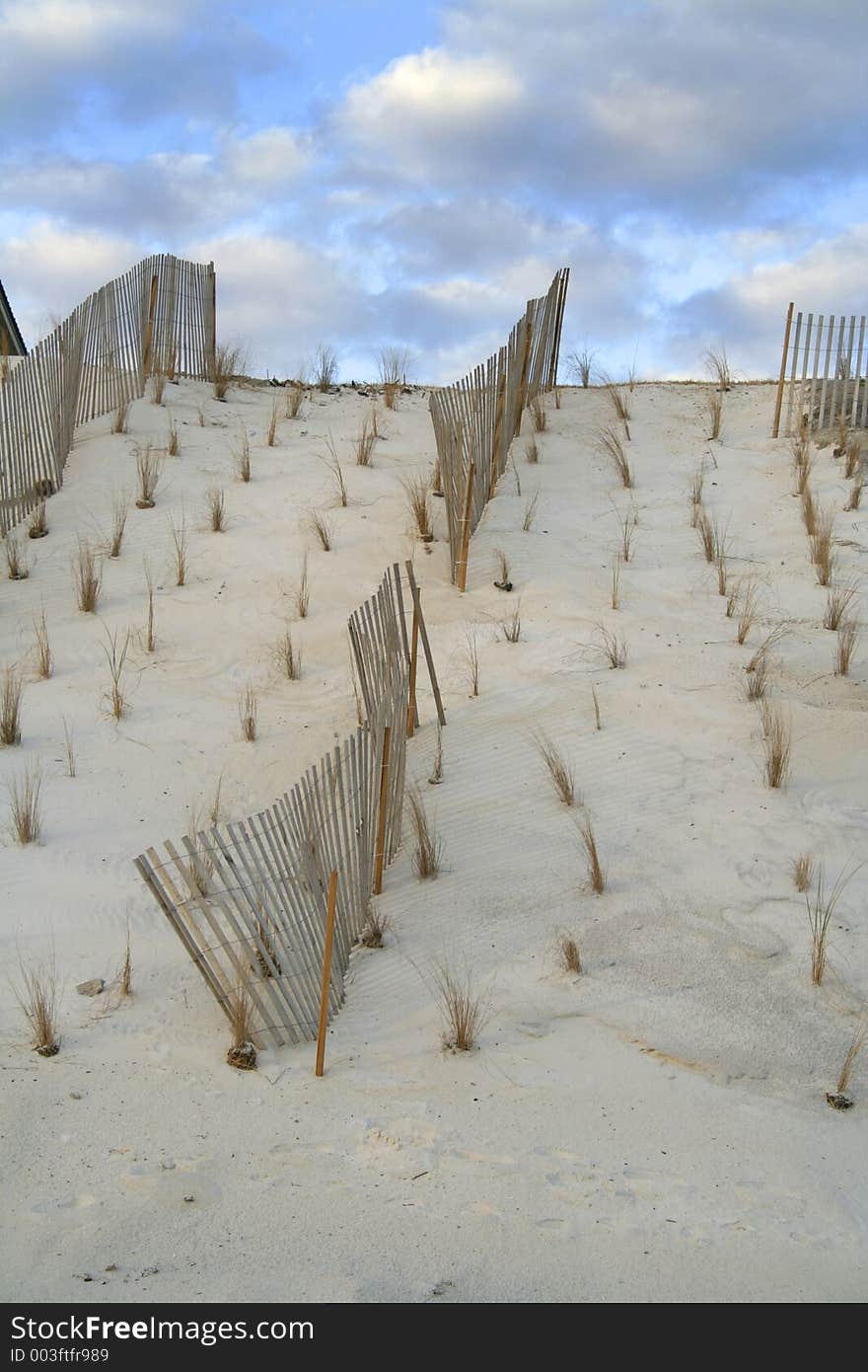 Fencing protecting the dunes. Fencing protecting the dunes