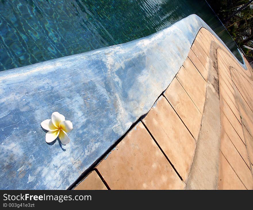 Detail of a tropical swimming pool. Detail of a tropical swimming pool