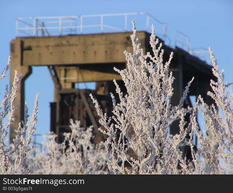 Nature And Industry