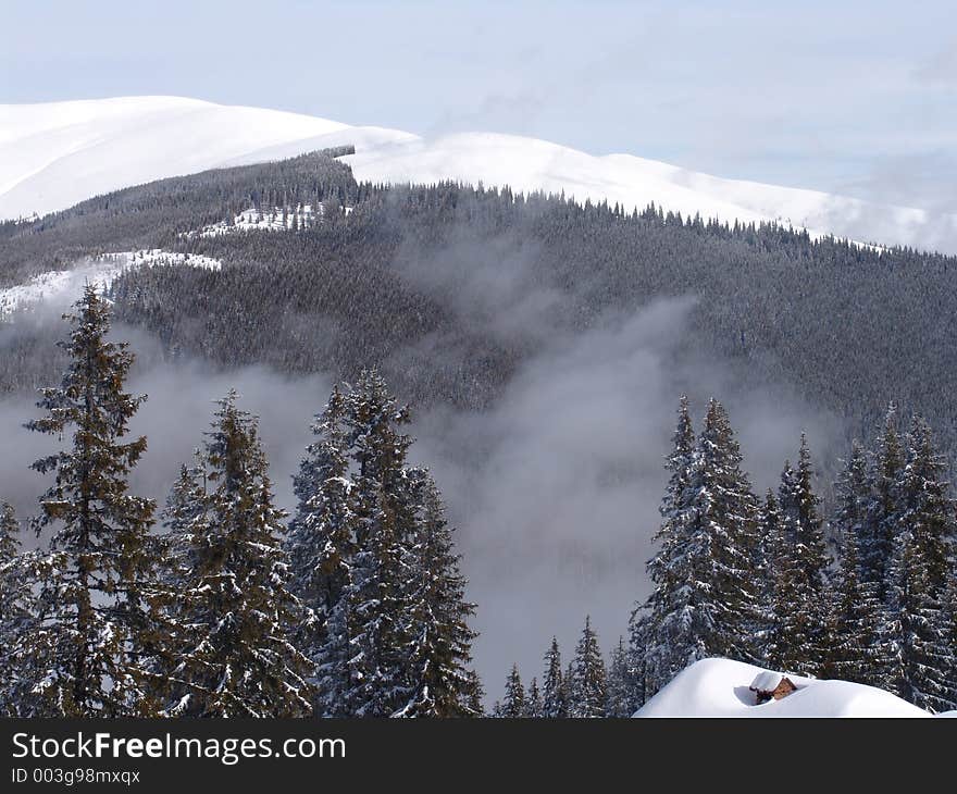 Beautiful area mountains with strong pines. Beautiful area mountains with strong pines