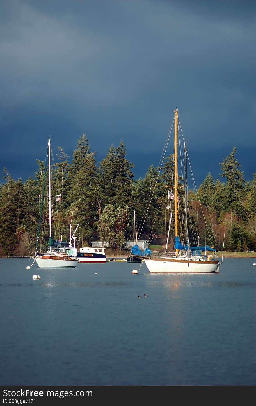 Sailboats on a stormy day