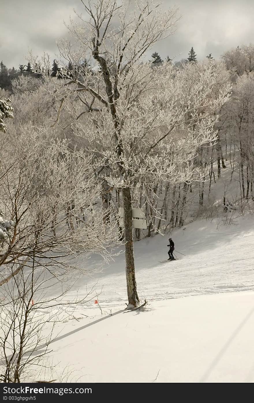 Skiier in the early morning frost. Skiier in the early morning frost.