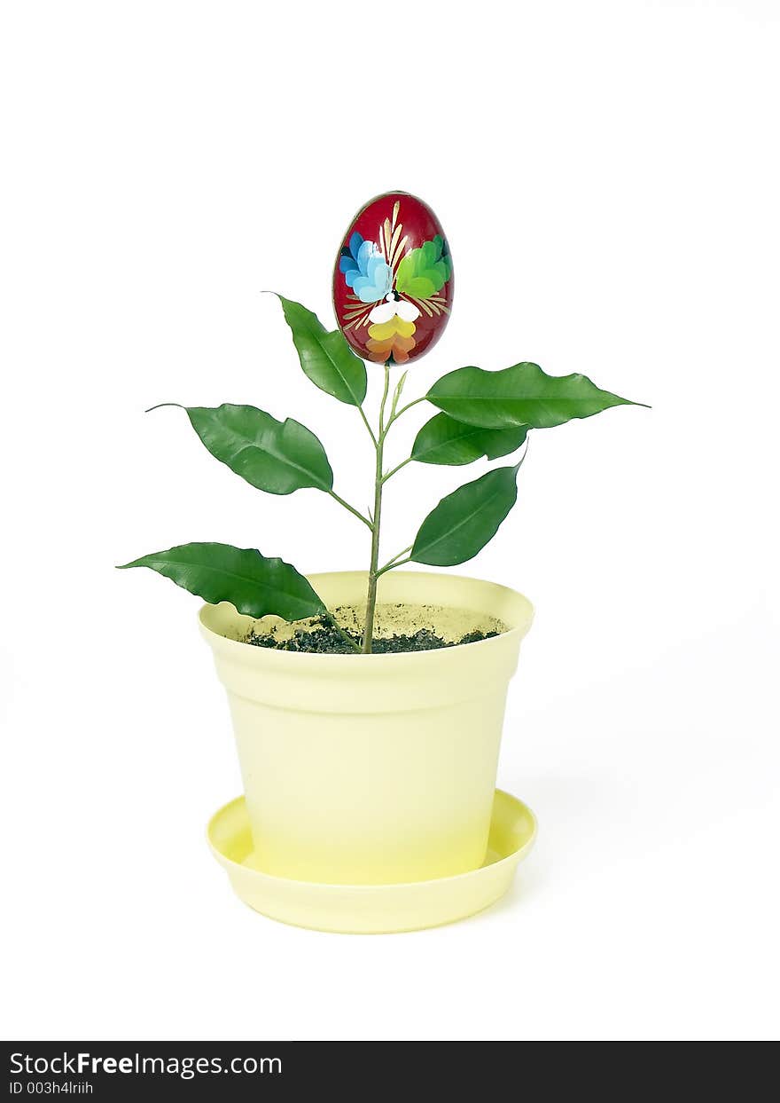 Easter egg growing on the potted plant. Easter egg growing on the potted plant