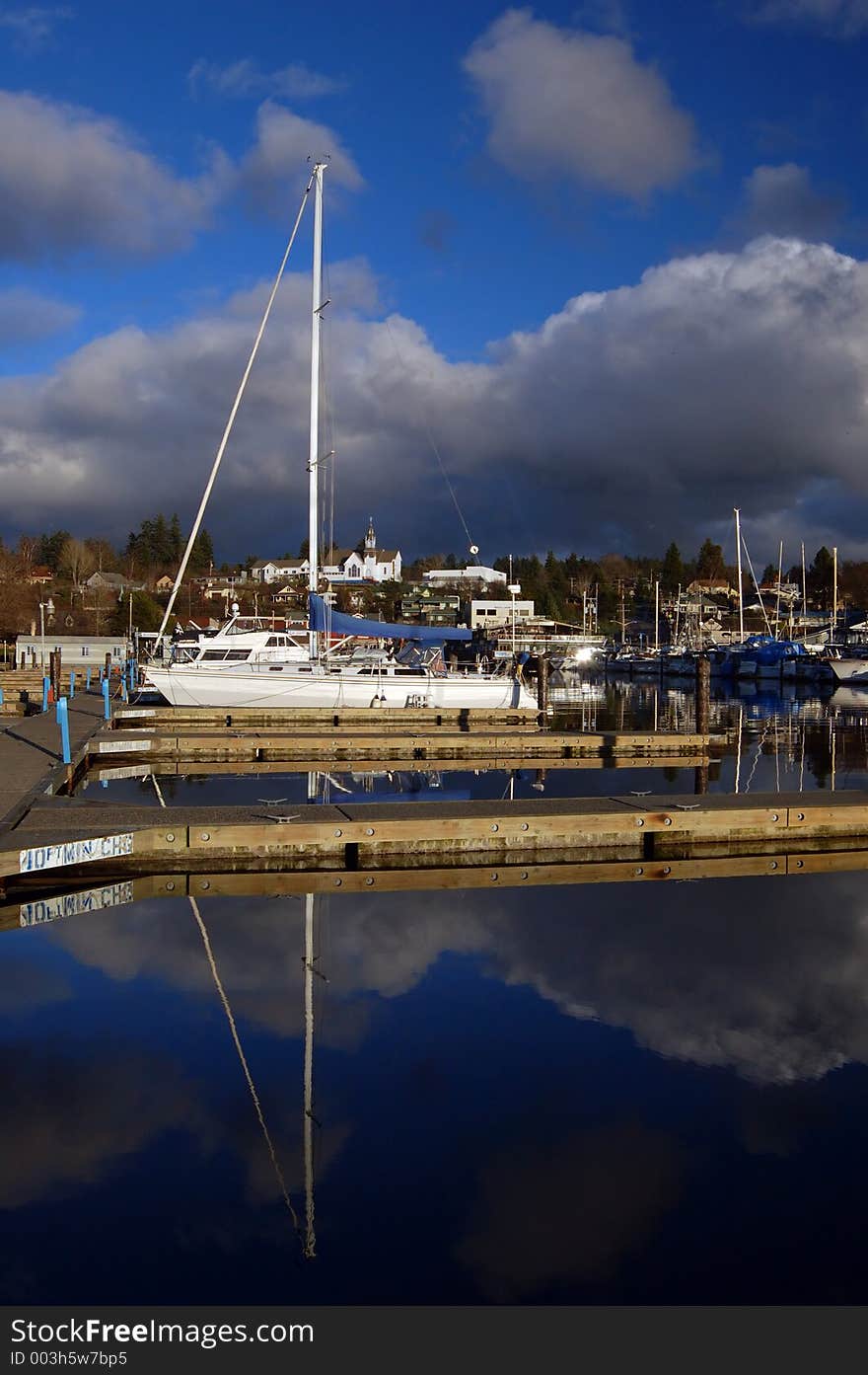 Boats in the marina