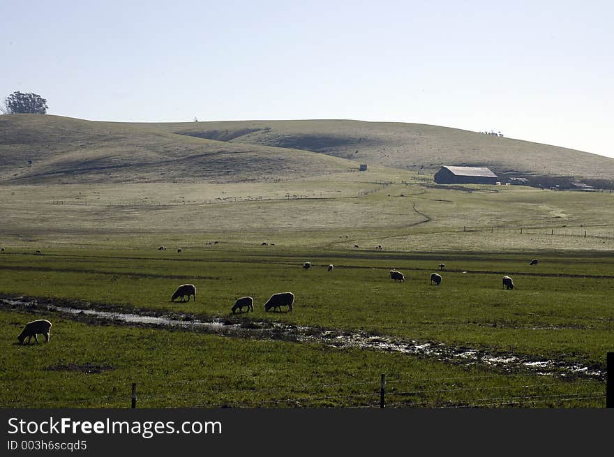 Rolling hills and farmland in Sonoma county. Rolling hills and farmland in Sonoma county