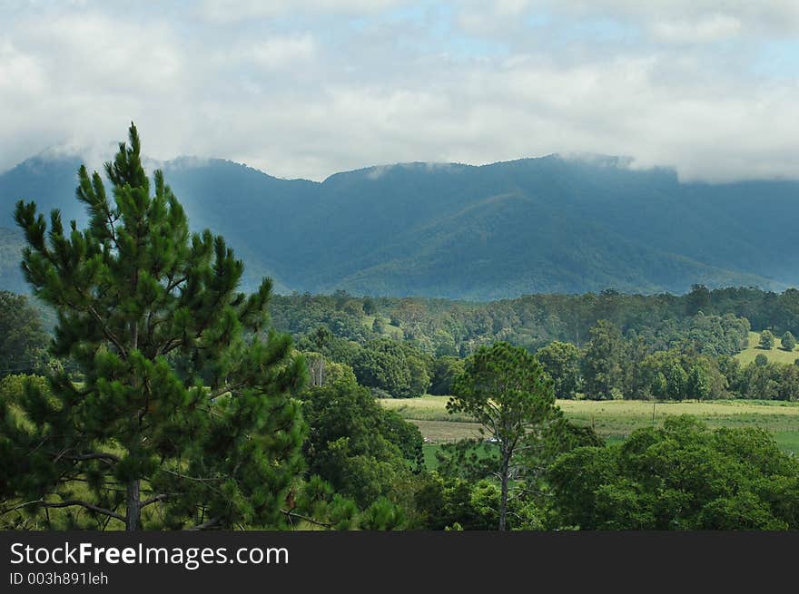 Fertile landscape located in the countryside of Australia. Fertile landscape located in the countryside of Australia