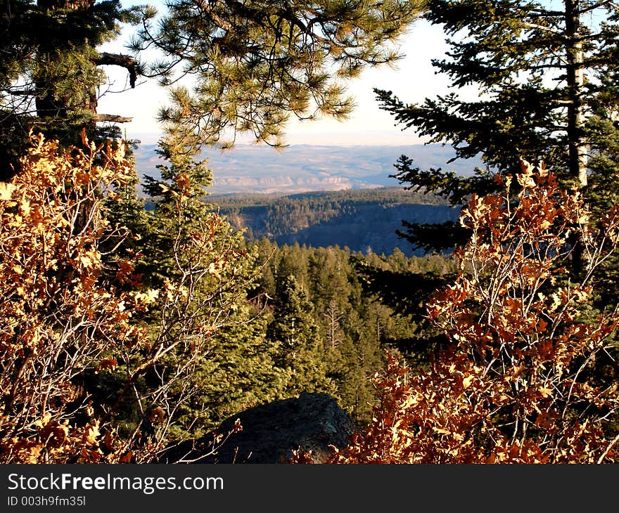 Shots from along New Mexico's Jemez Mountain Trail