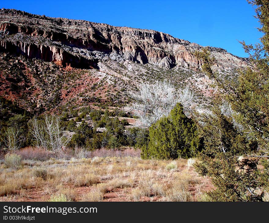 Shots from along New Mexico's Jemez Mountain Trail