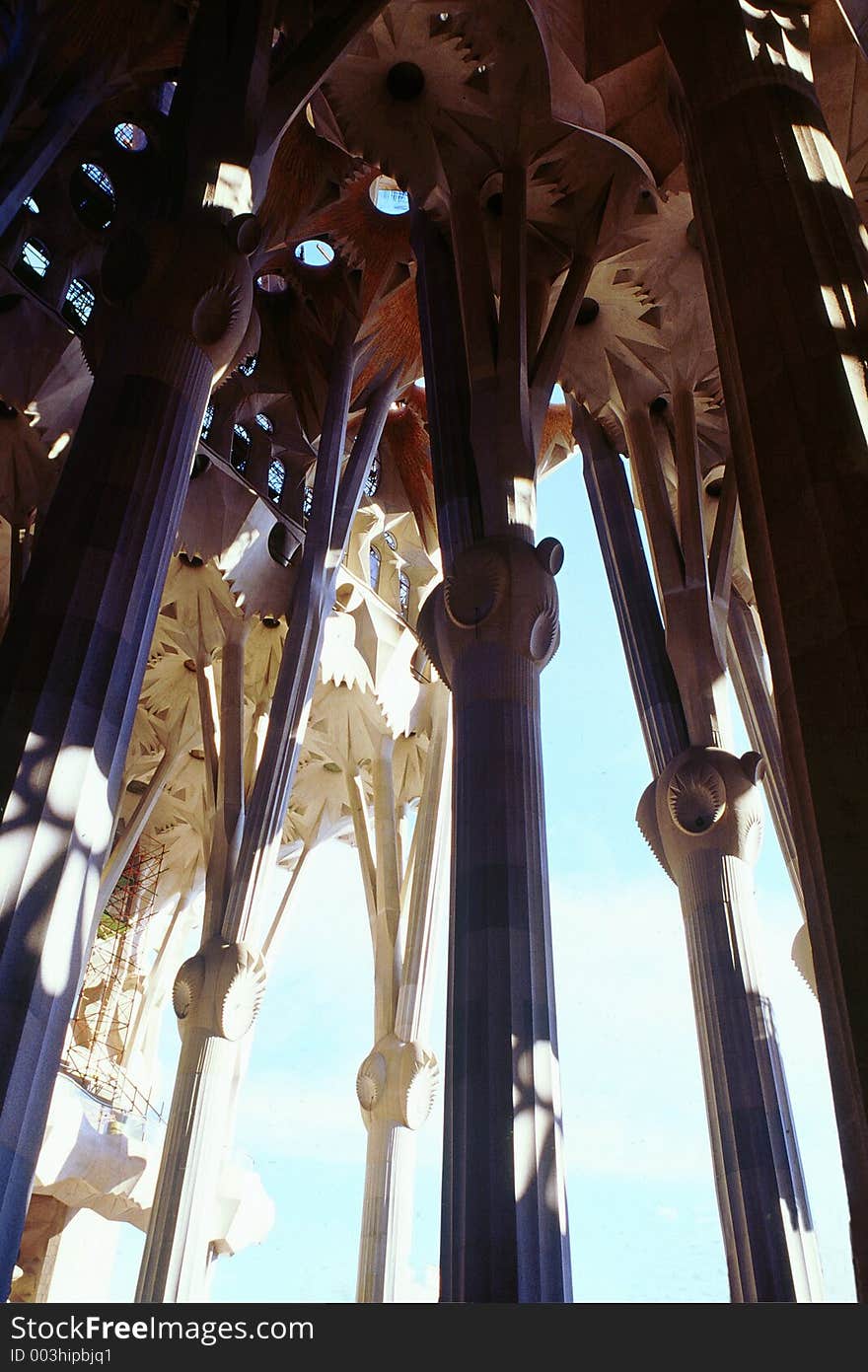 A look from inside out in the sagrada familiaBarcelona. A look from inside out in the sagrada familiaBarcelona